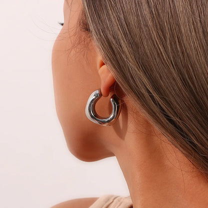 Boucles d'oreilles - Ombre d'Argent